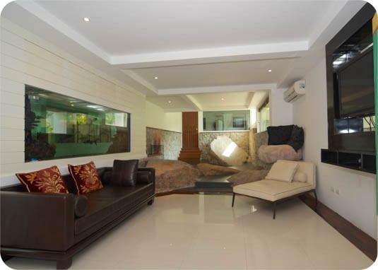 Picture of Seven Sundays