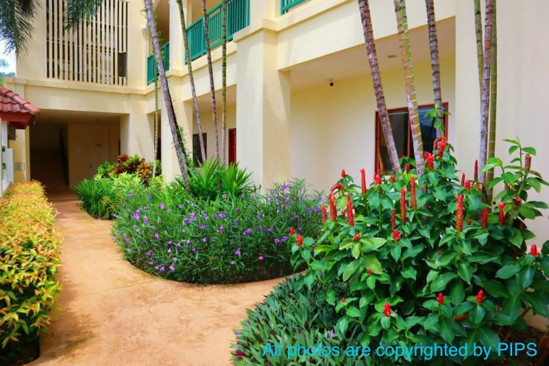 Picture of Baan Puri C40 Standard Apartment