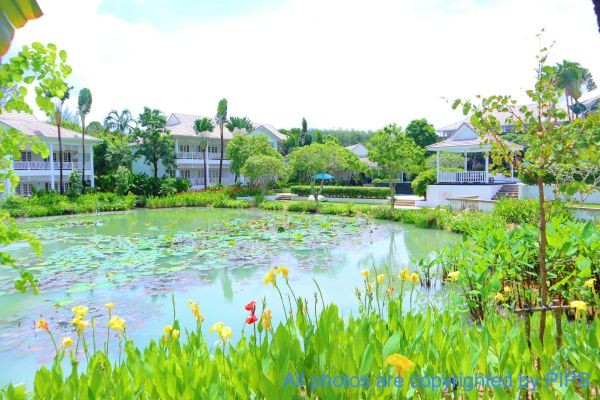 Picture of Ocean Breeze 4C