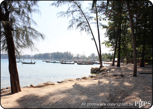 Picture of Baan Chai Nam Apartment 11