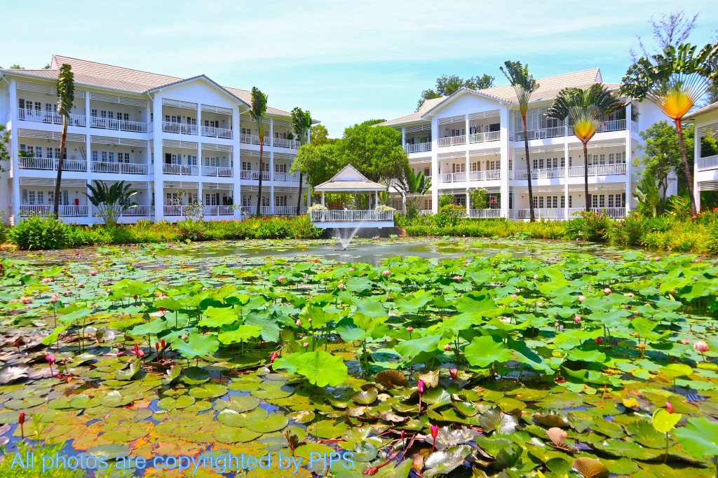 Picture of Ocean Breeze 1B